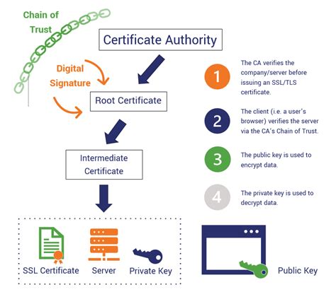 pki digital certificate